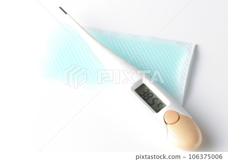 Photograph of the thermometer and cooling sheet against a white background 106375006