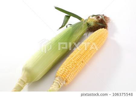 corn  106375548