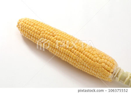 玉米 106375552