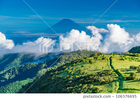 [Shizuoka Prefecture] Mt. Fuji seen from Nishiizu Darumasan Plateau 106376695