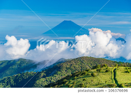 [Shizuoka Prefecture] Mt. Fuji seen from Nishiizu Darumasan Plateau 106376696