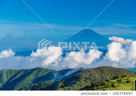 [Shizuoka Prefecture] Mt. Fuji seen from Nishiizu Darumasan Plateau 106376697