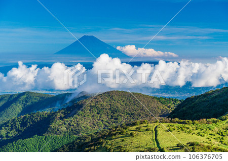 [Shizuoka Prefecture] Mt. Fuji seen from Nishiizu Darumasan Plateau 106376705