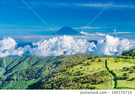 [Shizuoka Prefecture] Mt. Fuji seen from Nishiizu Darumasan Plateau 106376710