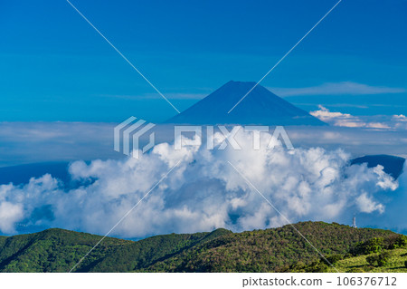 [靜岡縣]從西伊豆達摩山高原看到的富士山 106376712