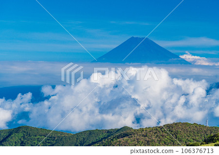 [靜岡縣]從西伊豆達摩山高原看到的富士山 106376713
