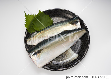 兩片新鮮國產鯖魚 106377035