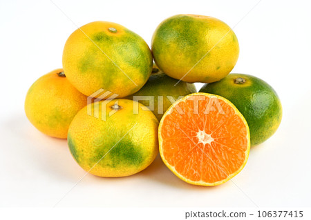 Mandarin orange (light of fertilizer) 106377415