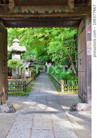 Kamakura Ankokuronji Temple (Zaimokuza, Kamakura City, Kanagawa Prefecture) Kamakura Ankokuronji Temple (Zaimokuza, Kamakura City, Kanagawa Prefecture) 106377667