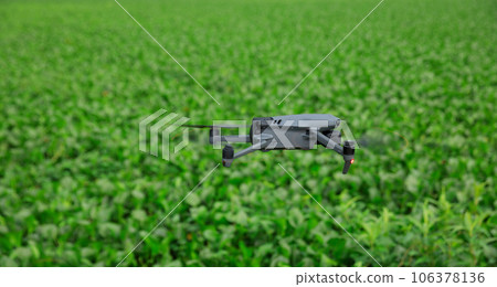 Flying drone taking photo of green water hyacinth in pond 106378136