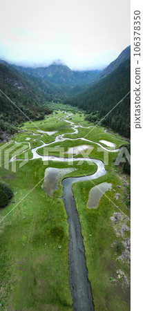 Beautiful forest wetland landscape in Sichuan,China 106378350