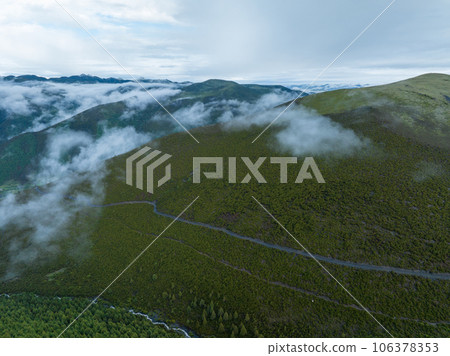 Beautiful sunrise forest landscape in Sichuan, China 106378353