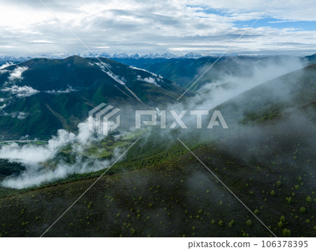 Beautiful sunrise forest landscape in Sichuan,China 106378395