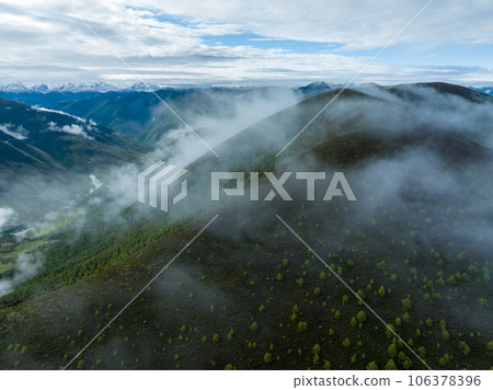 Beautiful sunrise forest landscape in Sichuan, China 106378396