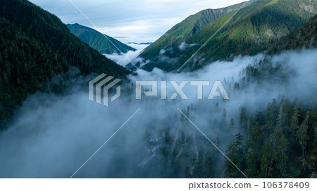 Beautiful forest landscape in Sichuan,China 106378409