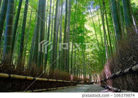 竹寺報國寺 竹寺報國寺 106379974