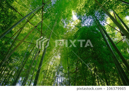 竹寺報國寺 106379985