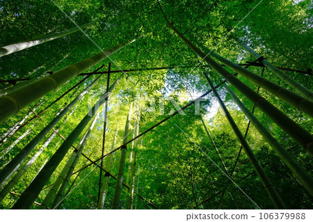 竹寺報國寺 106379988