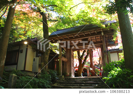 紅葉名馬溫泉瑞鳳寺公園 紅葉名馬溫泉瑞鳳寺公園 106380213