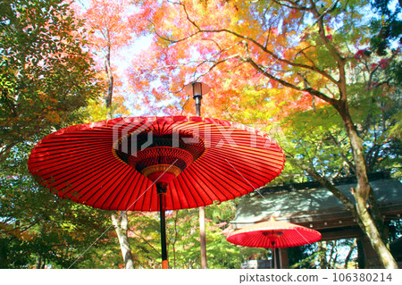 紅葉名馬溫泉瑞鳳寺公園 106380214
