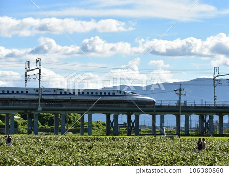 Sunflower field and Shinkansen scenery Sunflower field and Shinkansen scenery 106380860