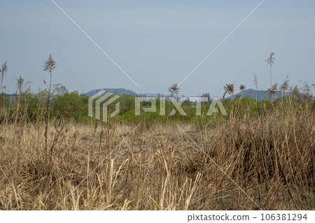 Hwangnyong River, Yeongsan River, bicycle path 106381294