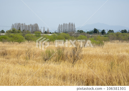 Hwangnyong River, Yeongsan River, bicycle path 106381301