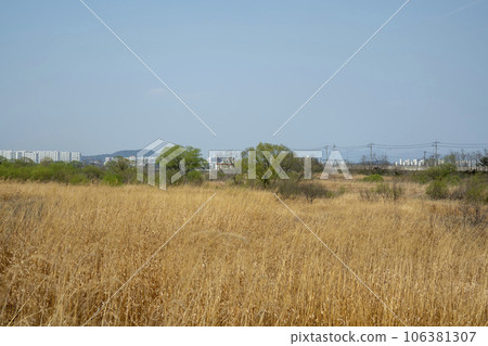 Hwangnyong River, Yeongsan River, bicycle path 106381307