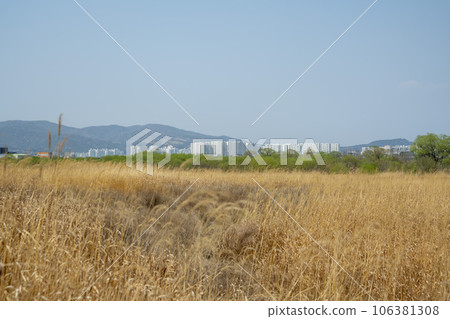 Hwangnyong River, Yeongsan River, bicycle path 106381308