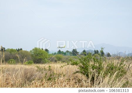 Hwangnyong River, Yeongsan River, bicycle path 106381313