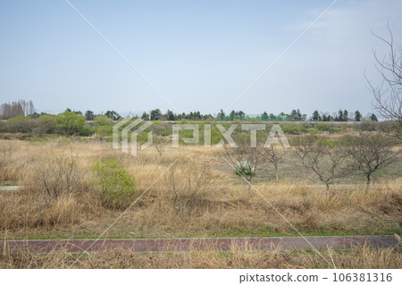 Hwangnyong River, Yeongsan River, bicycle path Hwangnyong River, Yeongsan River, bicycle path 106381316