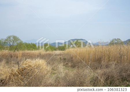 Hwangnyong River, Yeongsan River, bicycle path Hwangnyong River, Yeongsan River, bicycle path 106381323