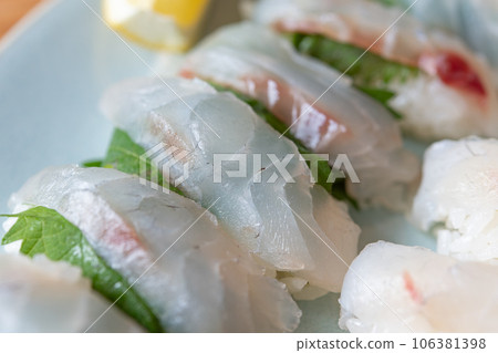 Black sea bream sushi 106381398