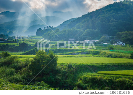 Morning view of a certain countryside Morning view of a certain countryside 106381626
