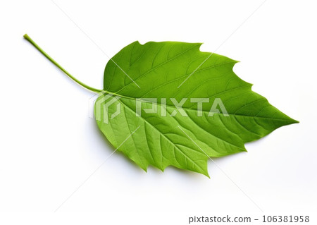 綠葉AI生成圖像 AI圖像 綠葉AI生成圖像 AI圖像 106381958