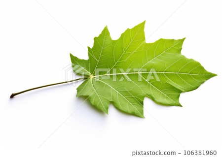 綠葉AI生成圖像 AI圖像 綠葉AI生成圖像 AI圖像 106381960