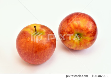 Apple (Shinano Lip) Apple (Shinano Lip) 106382009