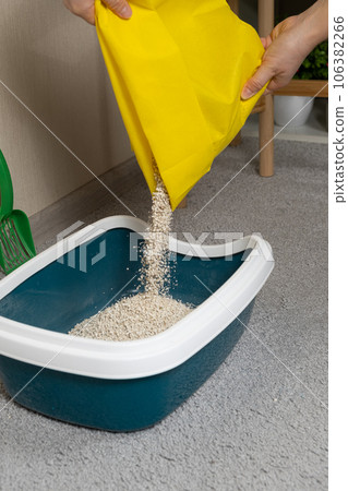 Pouring bentonite clumping filler into the litter box toilet for the cat 106382266
