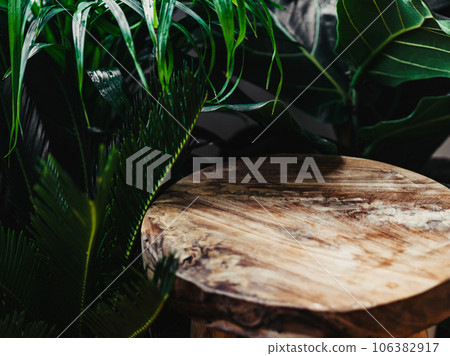 Table wood podium on green plant background, natural product present placement pedestal stand display,spring or summer concep 106382917