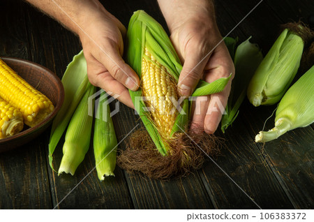 The cook cleans the corn with his hands to prepare for dinner. The idea of a maize diet or dessert. Free space for a recipe or menu 106383372