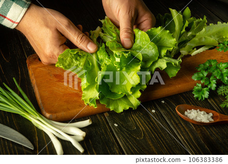 Cooking vegetarian food in the kitchen with lettuce leaves and onions. Male hands sort lettuce leaves on a cutting kitchen board Cooking vegetarian food in the kitchen with lettuce leaves and onions. Male hands sort lettuce leaves on a cutting kitchen board 106383386