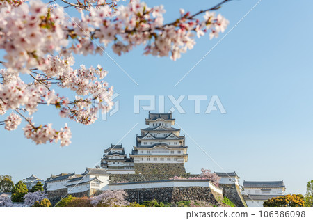 Himeji City, Hyogo Prefecture, National Treasure Himeji Castle Castle Decorated with Cherry Blossoms in Full Bloom [April] 106386098