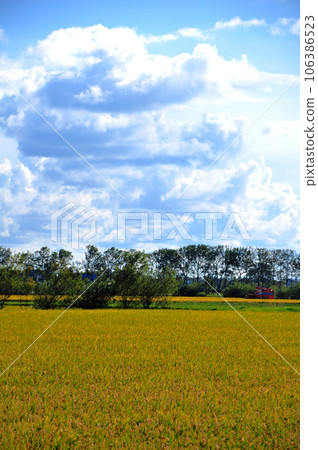 Beautiful pastoral scenery of Naganuma town Beautiful pastoral scenery of Naganuma town 106386523