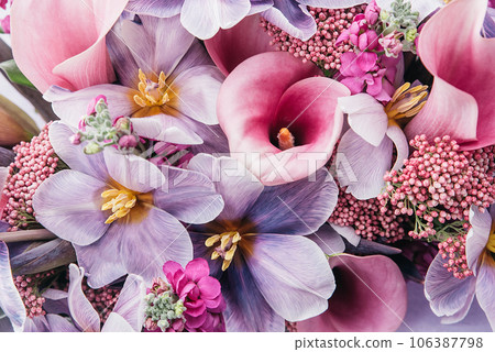 pink violet Autumn Colorful fall bouquet. Beautiful flower composition with tulip. Flower shop and florist design concept. close up, floral background pink violet Autumn Colorful fall bouquet. Beautiful flower composition with tulip. Flower shop and florist design concept. close up, floral background 106387798
