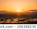 The sunset reflected in the vast rice fields 106388236