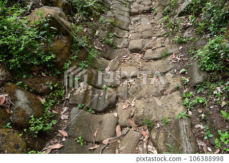 野古切山/切木戶排水溝遺跡 106388998