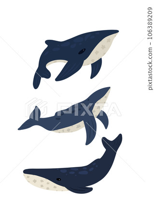 Set of hand drawn whales different shapes 106389209