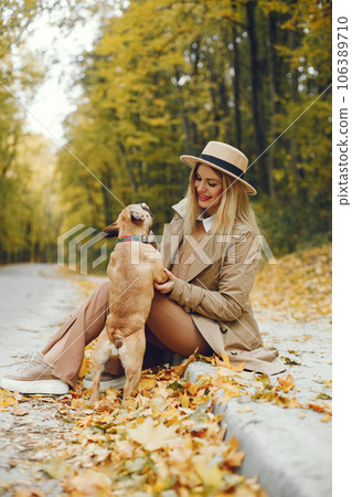 Woman and dog gathering a leaves in the autumn park. Brown french bulldog with female owner spend a day at the park playing and having fun. Woman wearing beige coat and a hat. 106389710