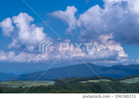 《群馬縣》夏日天空的鄉村風景——嬬戀的白菜田 《群馬縣》夏日天空的鄉村風景——嬬戀的白菜田 106390233