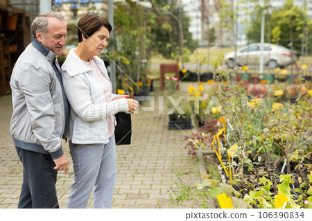 Elderly couple in casual clothes chooses plants and shrubs in pots. 106390834